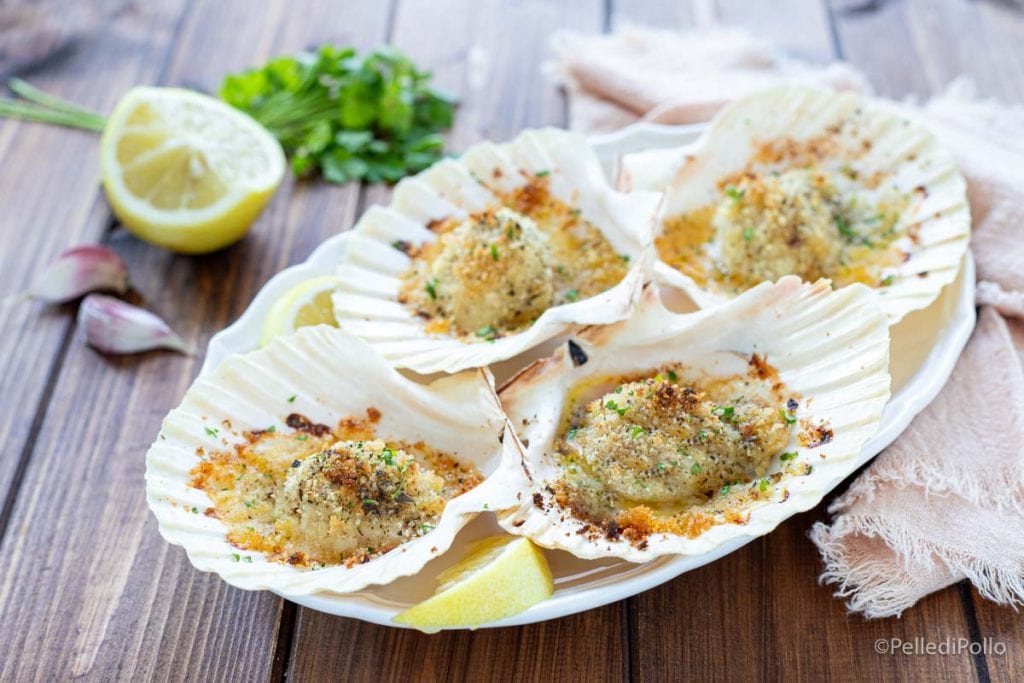 baked gratin scallops