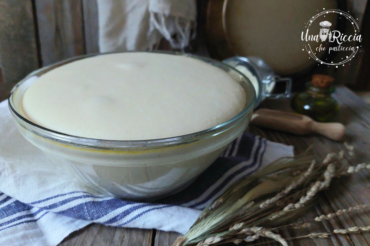 Basic Pizza Dough for Pan, Peel, or Plate