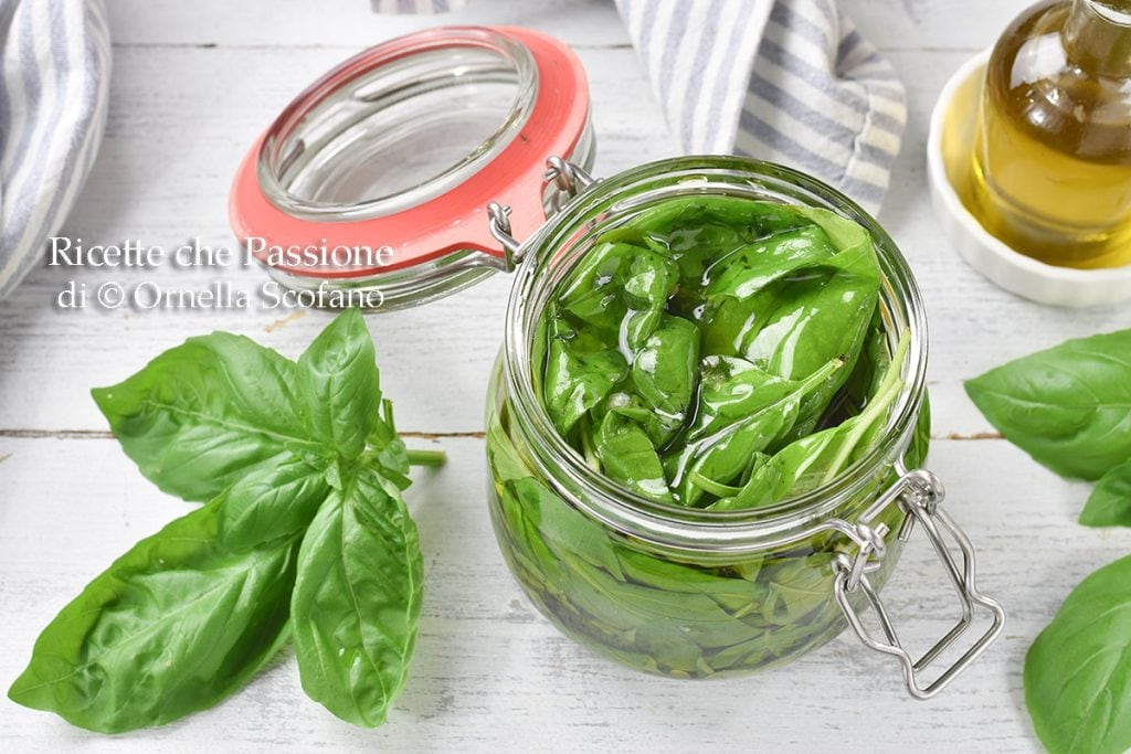 basil under oil recipe