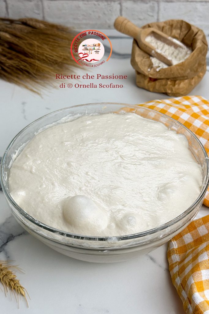 biga dough recipe
