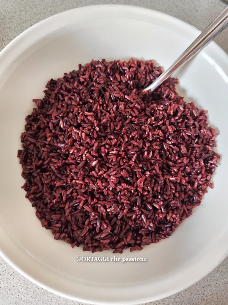boiled black Venere rice