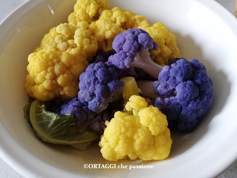 boiled colored cauliflowers