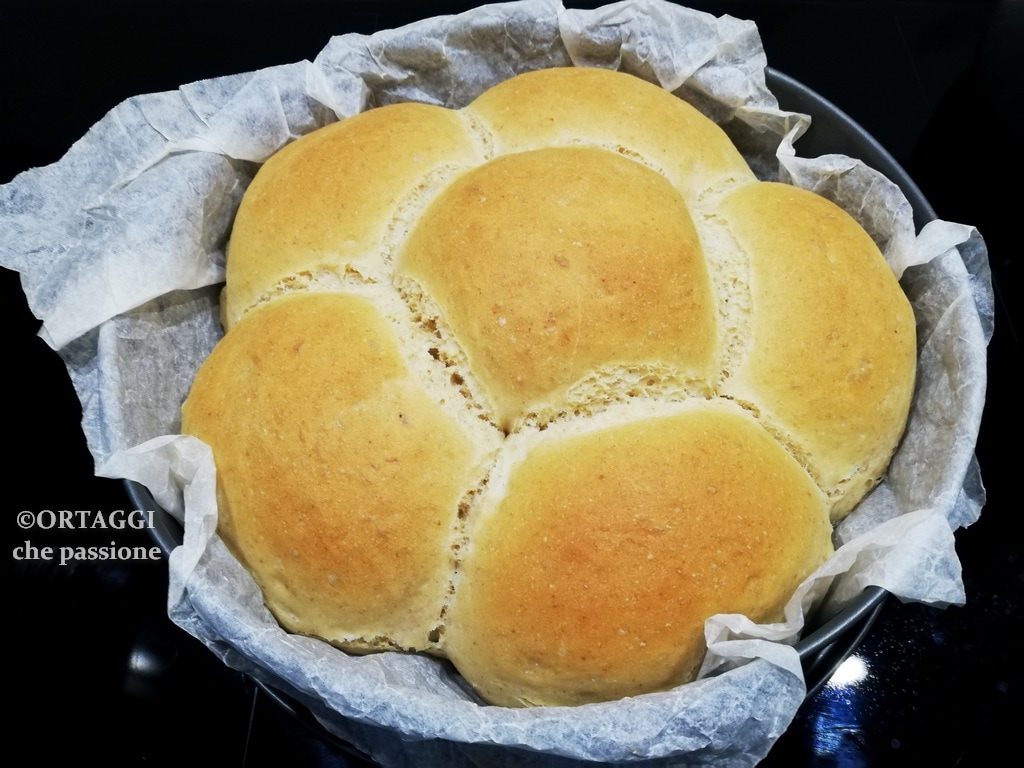 Bread with Dried Sourdough – QUICK