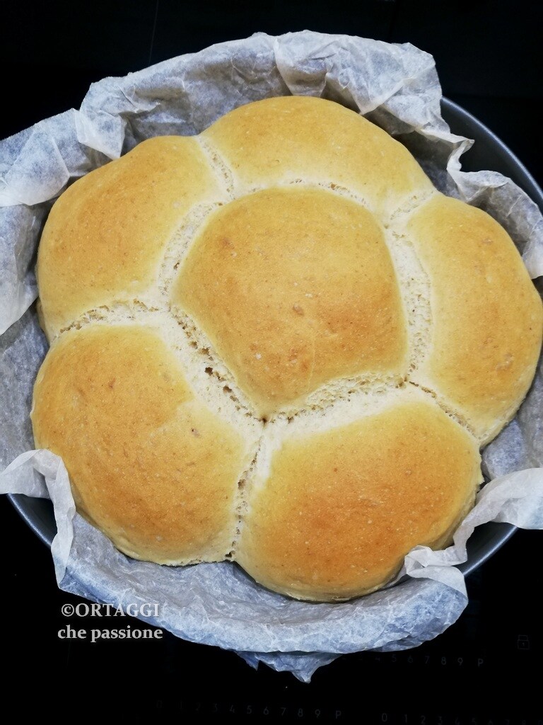 homemade bread with dried sourdough