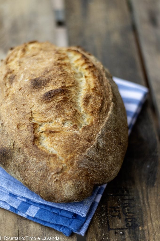 bread with senatore cappelli durum wheat