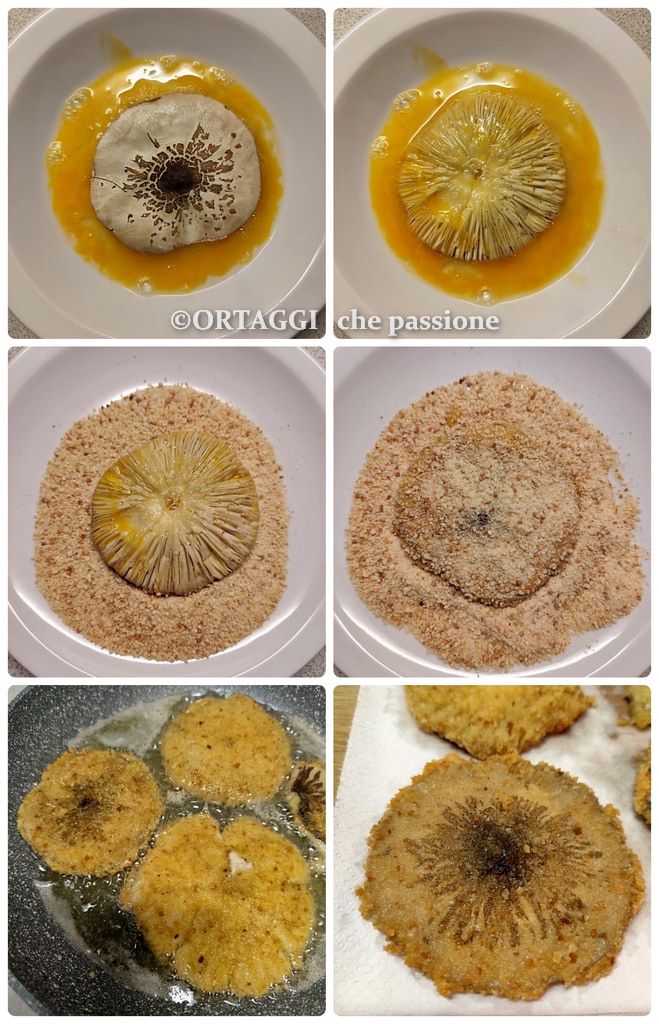 breaded and fried parasol mushroom
