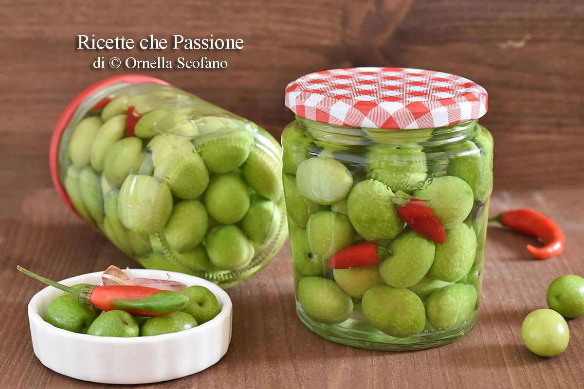 Brined Olives: How to Preserve Them – Perfect Recipe