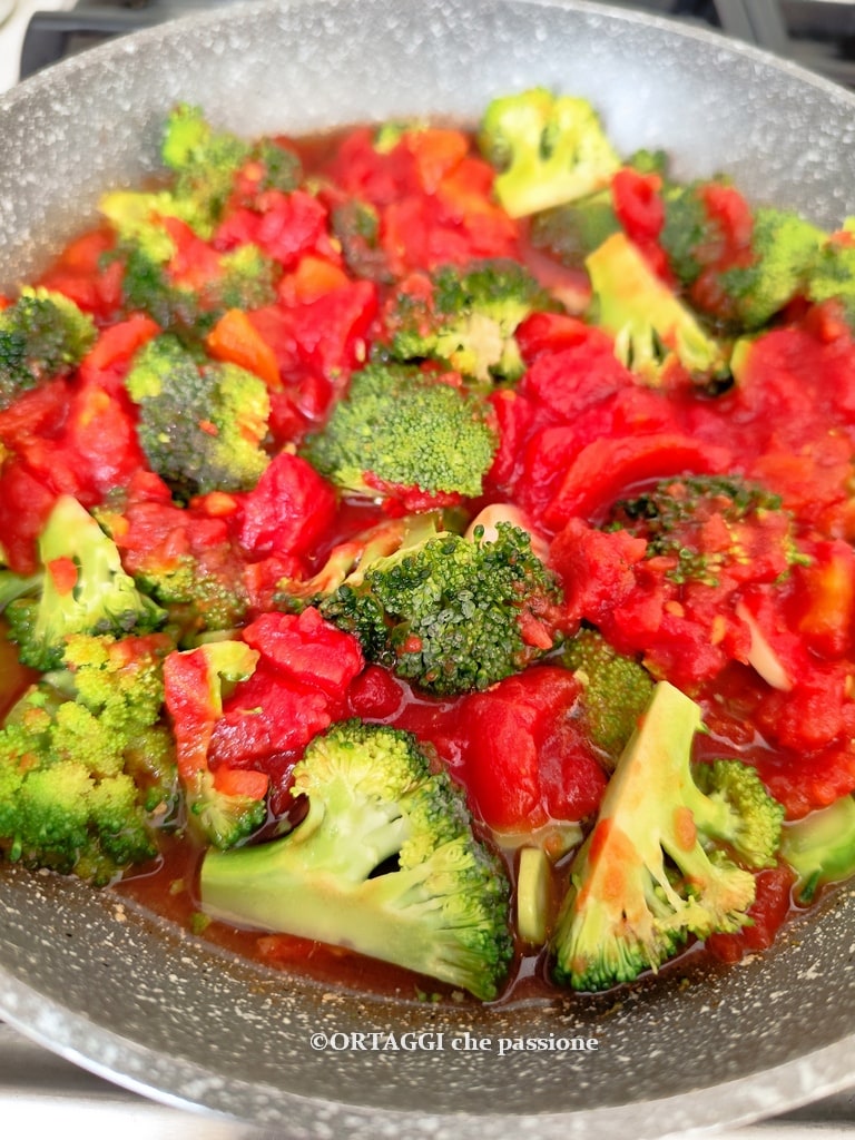 broccoli with stewed tomato sauce