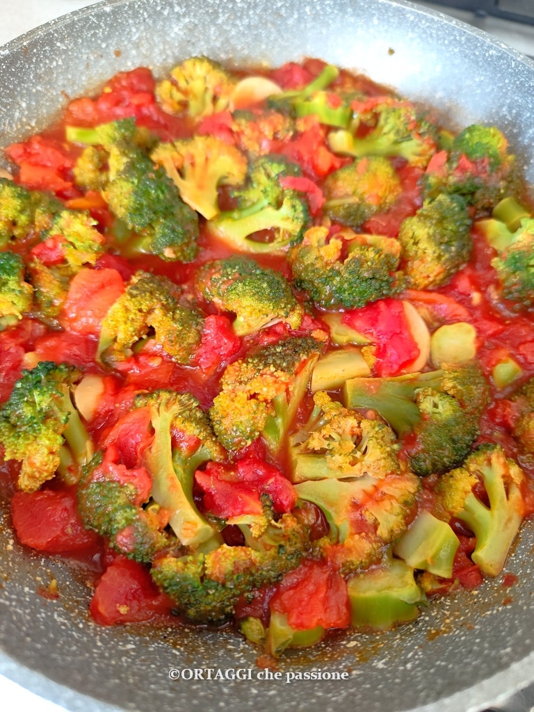 broccoli with stewed tomato sauce