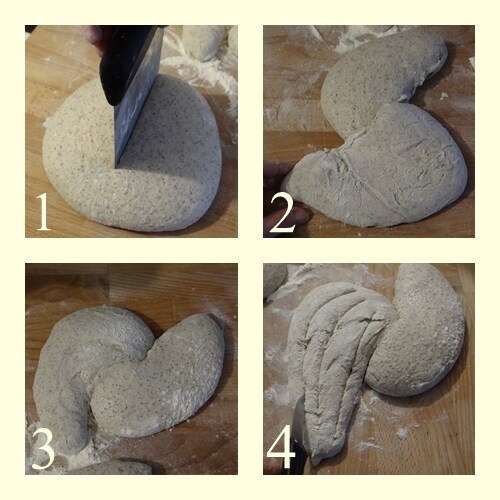 shaping and forming homemade buckwheat bread