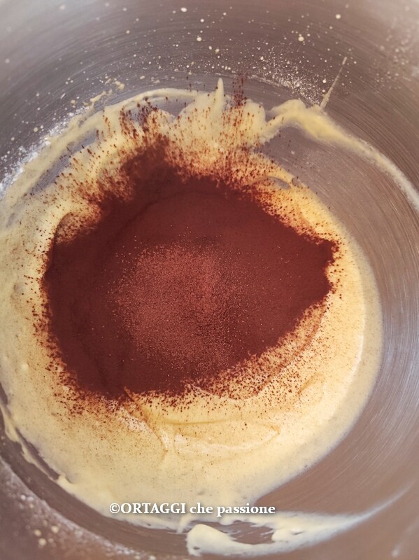 add cocoa to half the batter