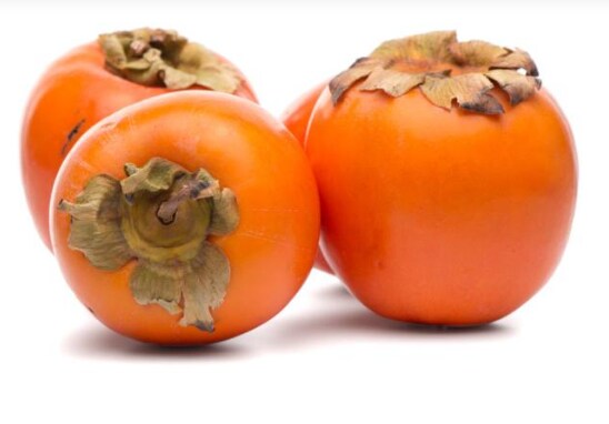 persimmon
