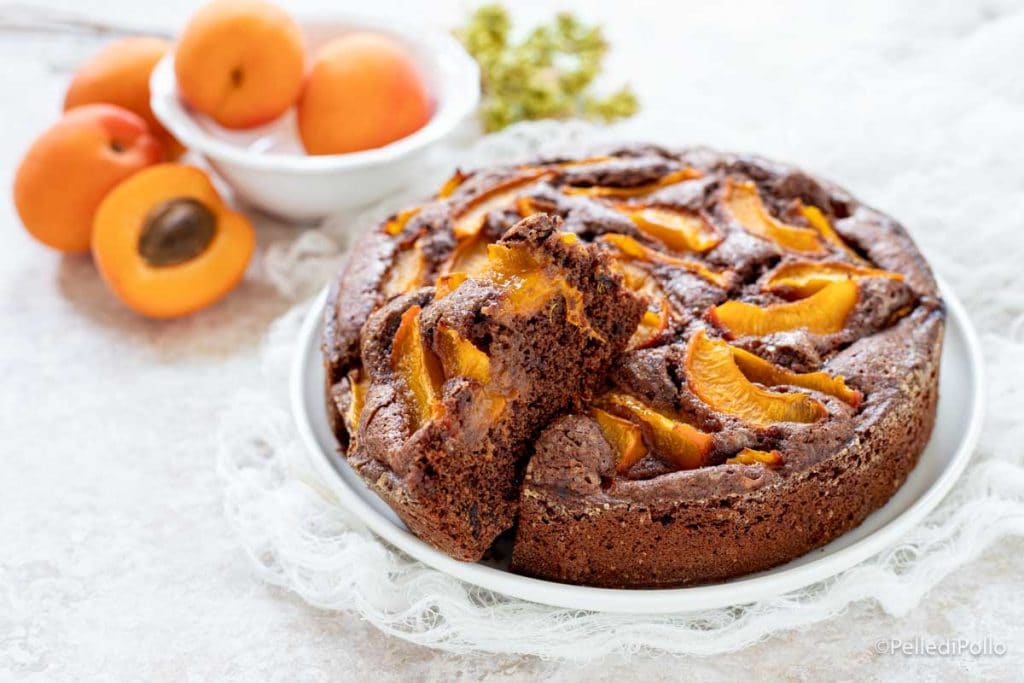 cake with apricots and cocoa