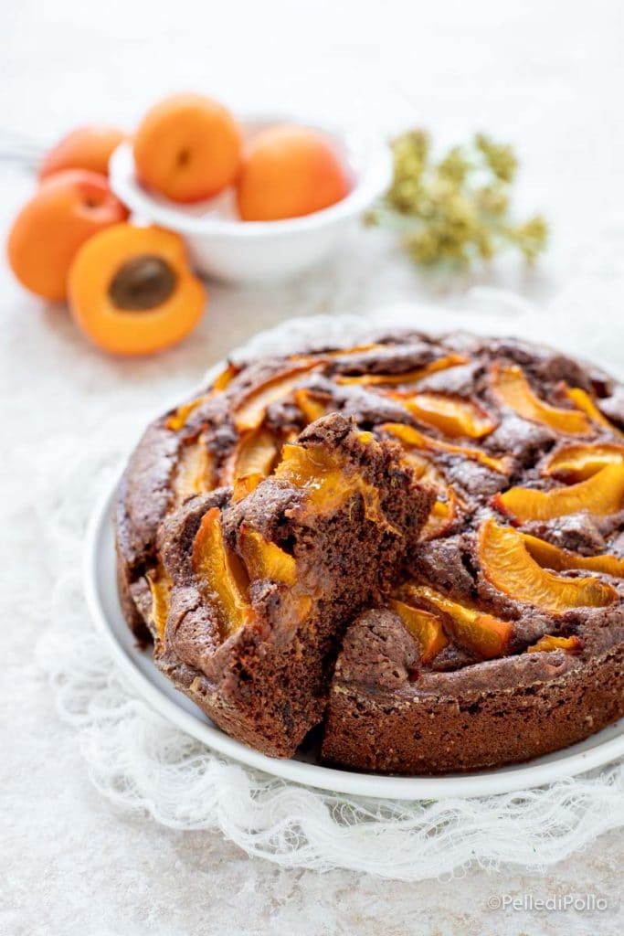 cake with apricots and chocolate