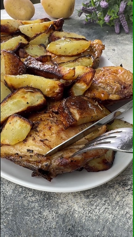 chicken with potatoes in air fryer