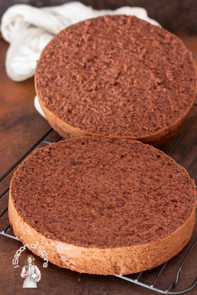 Tall and Perfect Cocoa Sponge Cake