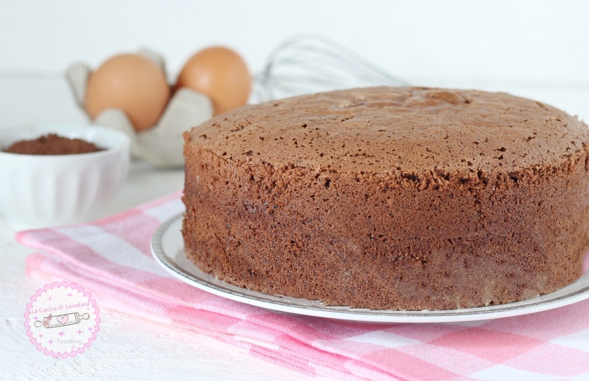 COCOA SPONGE CAKE the simple and perfect recipe