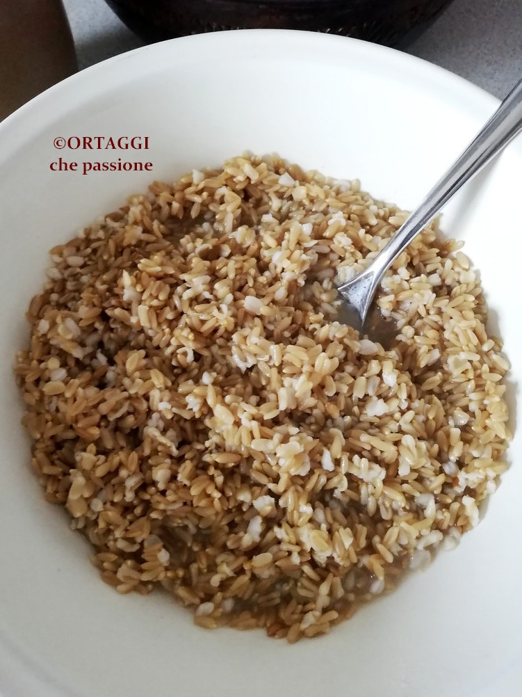 cooked whole oats in a pressure cooker