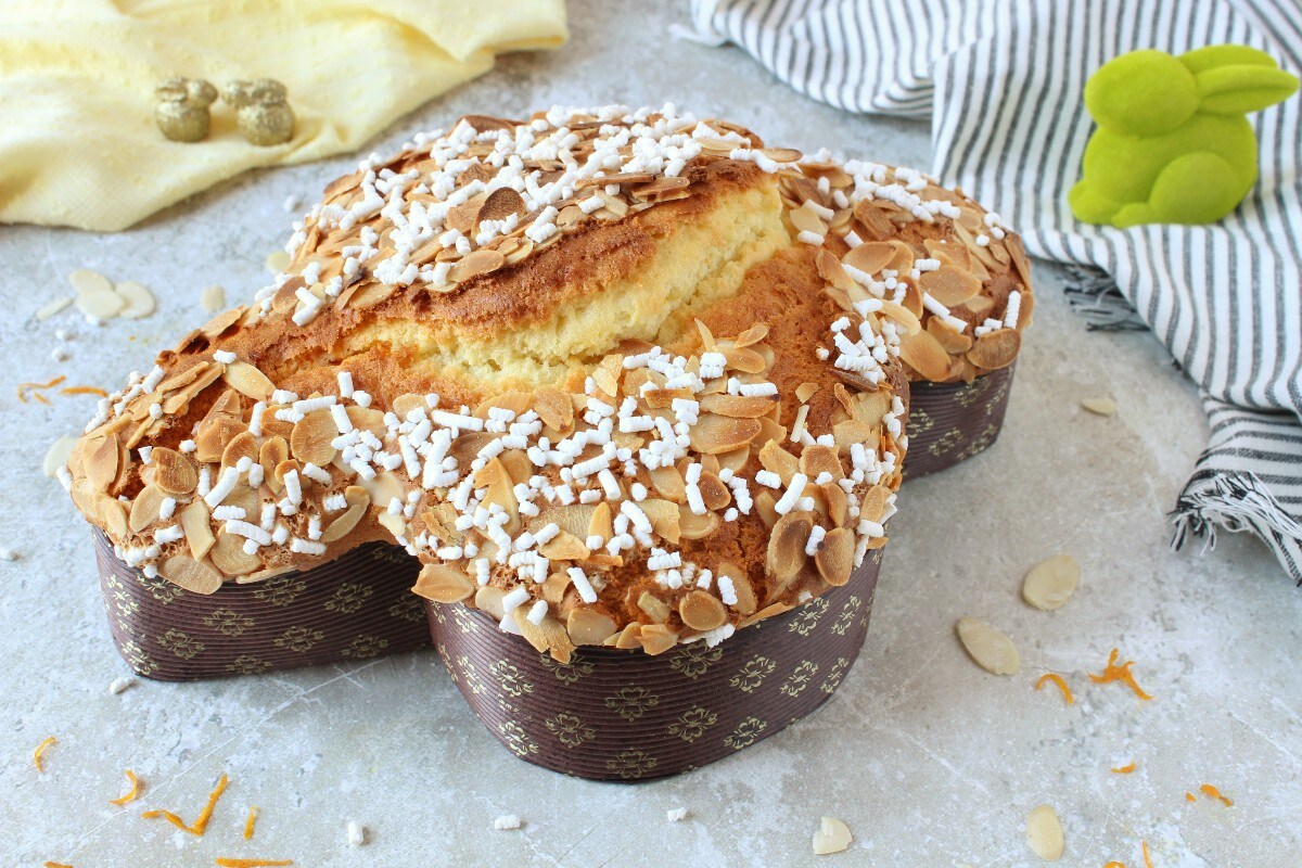 QUICK COLOMBA