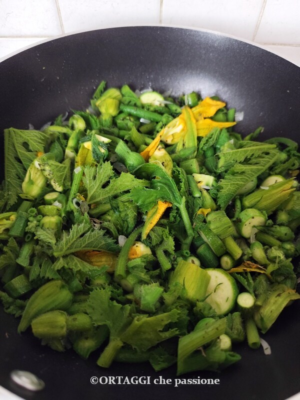 zucchini sprouts cooking
