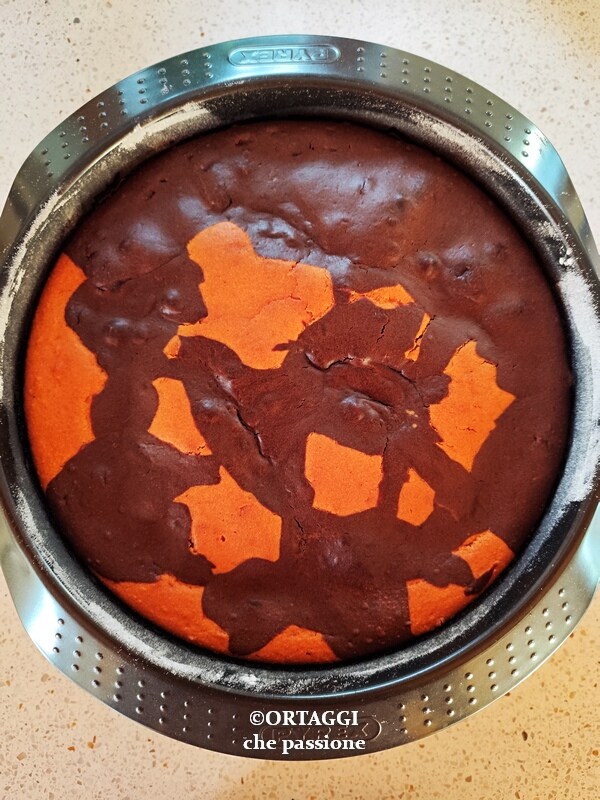 baked grandma's two-toned cake