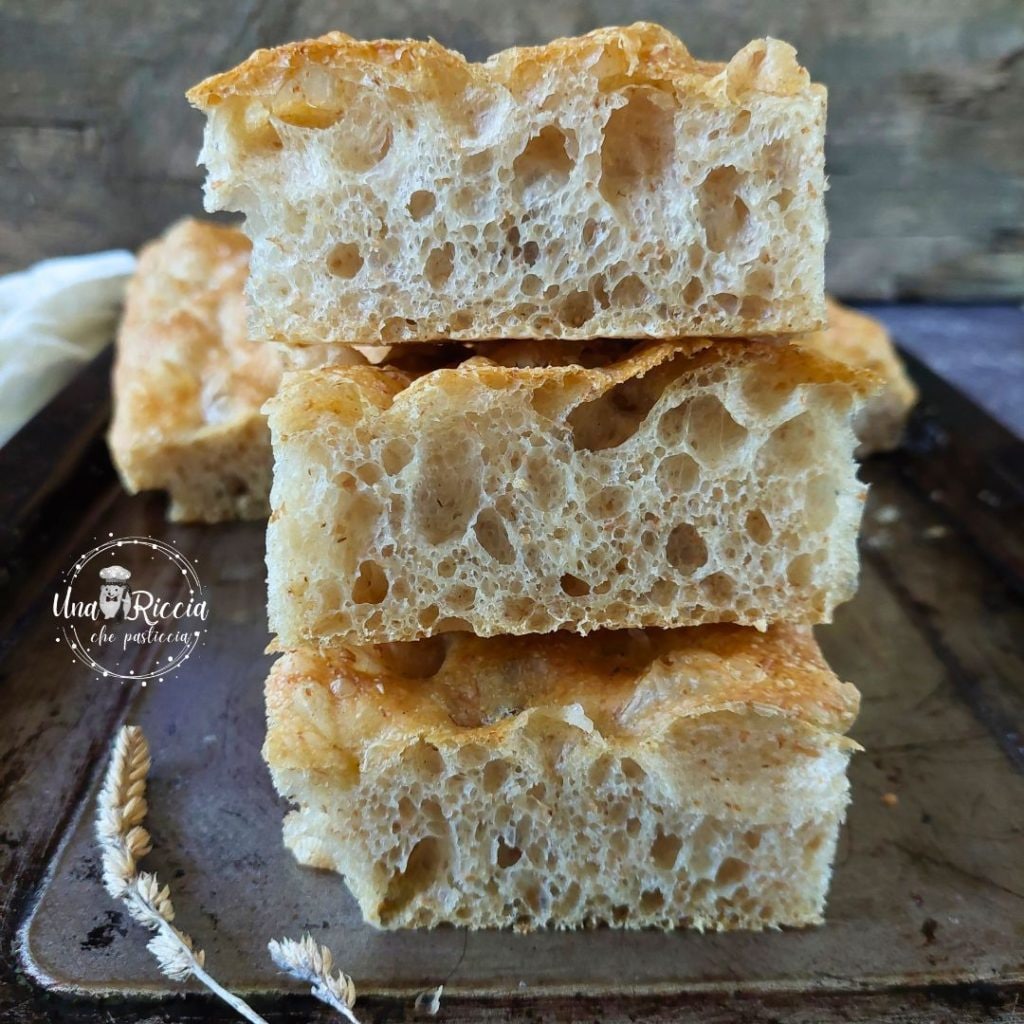 detail-soft-whole-wheat-multigrain-focaccia