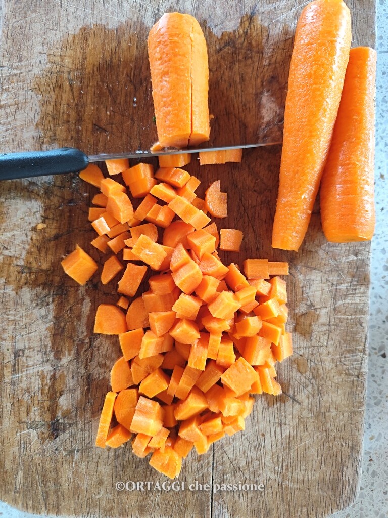 diced carrots 120808