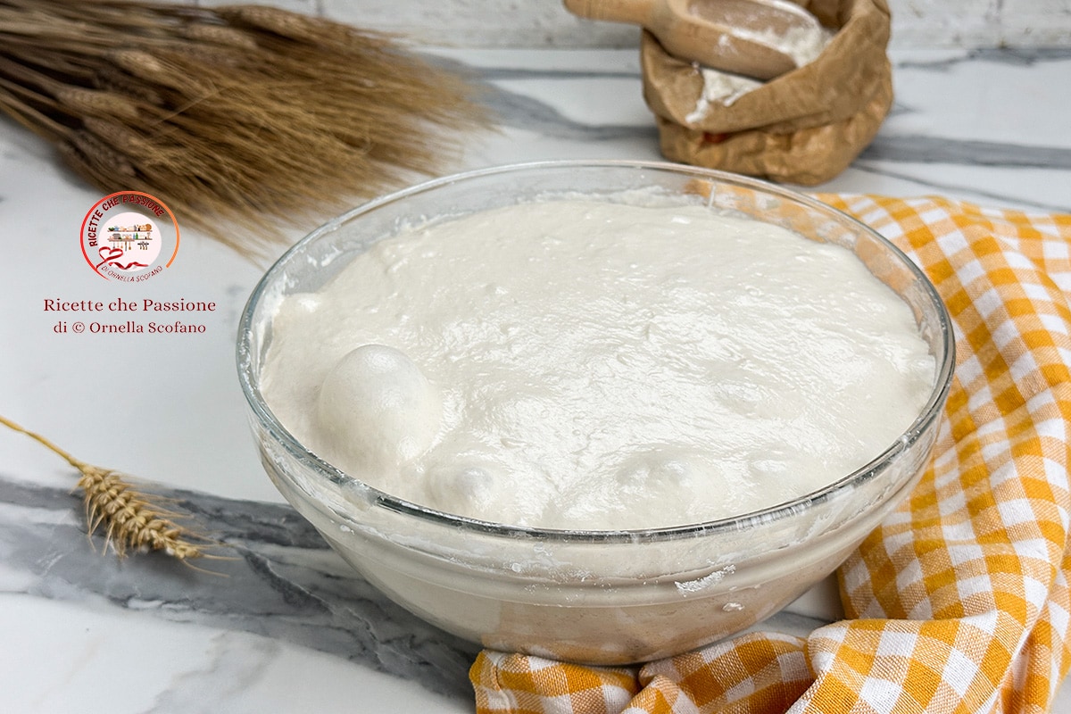 Dough with Biga for Wow Pizza Bread or Focaccia