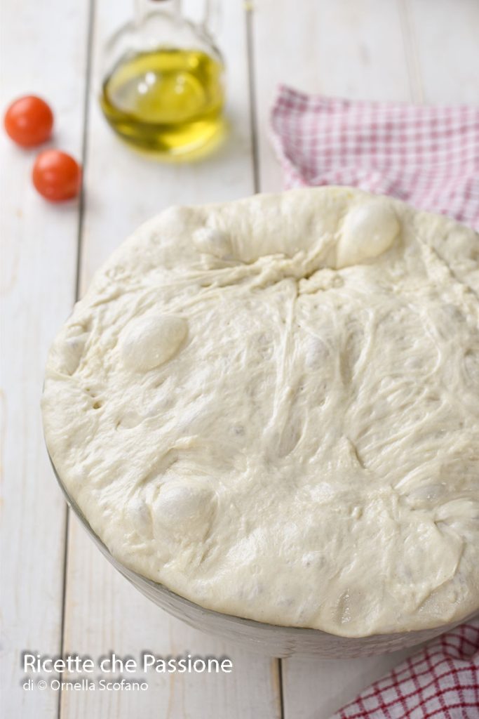 dough without kneading with all-purpose flour