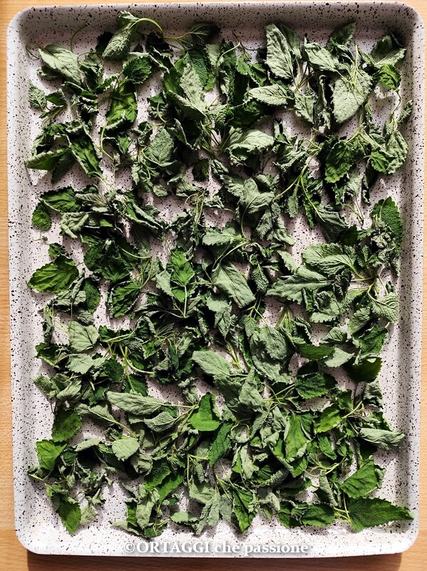 dried melissa for tea or decoction