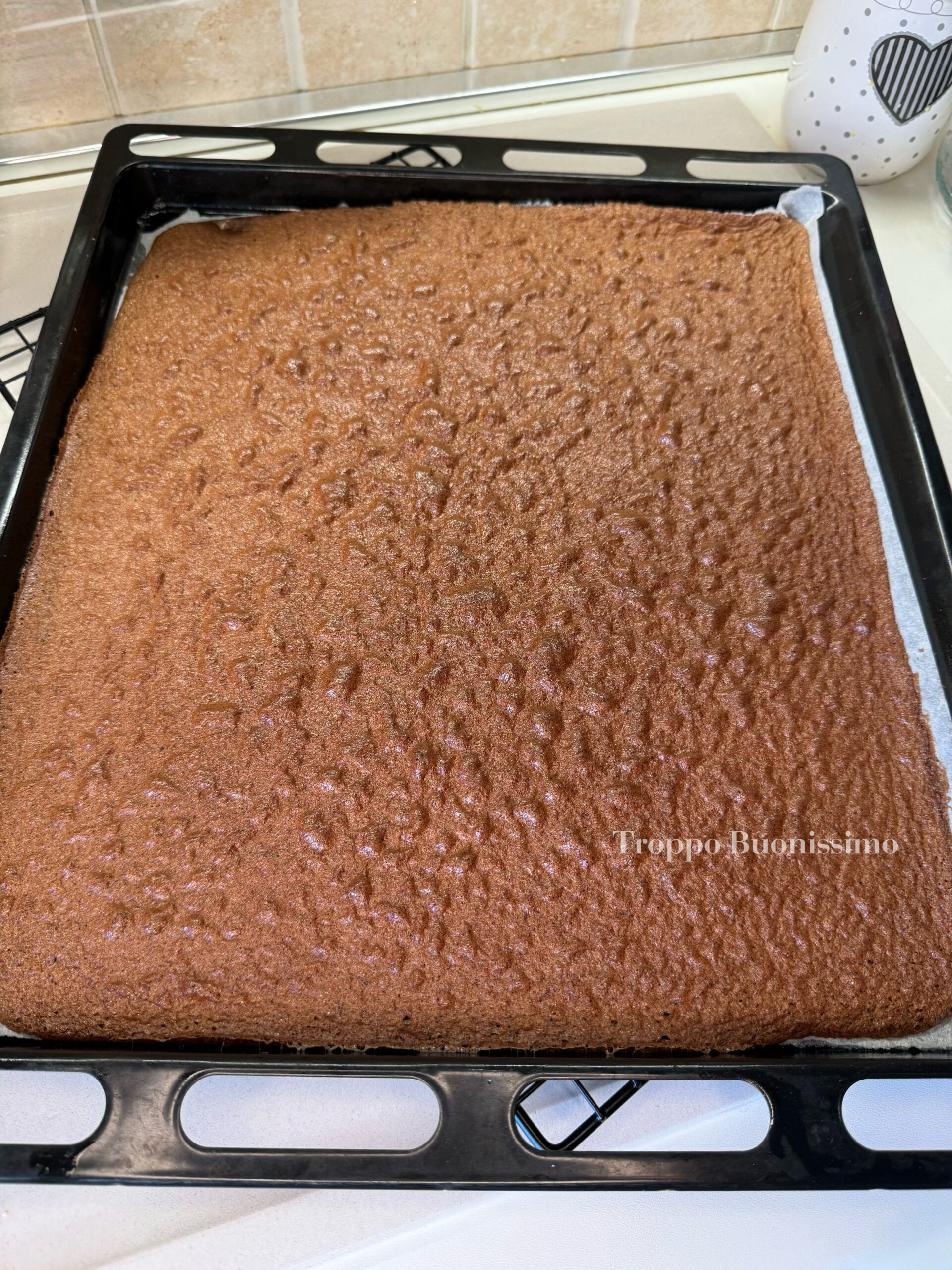 Cocoa Sponge Cake without Yeast – Soft, Rollable, and Perfect for Sweet Rolls