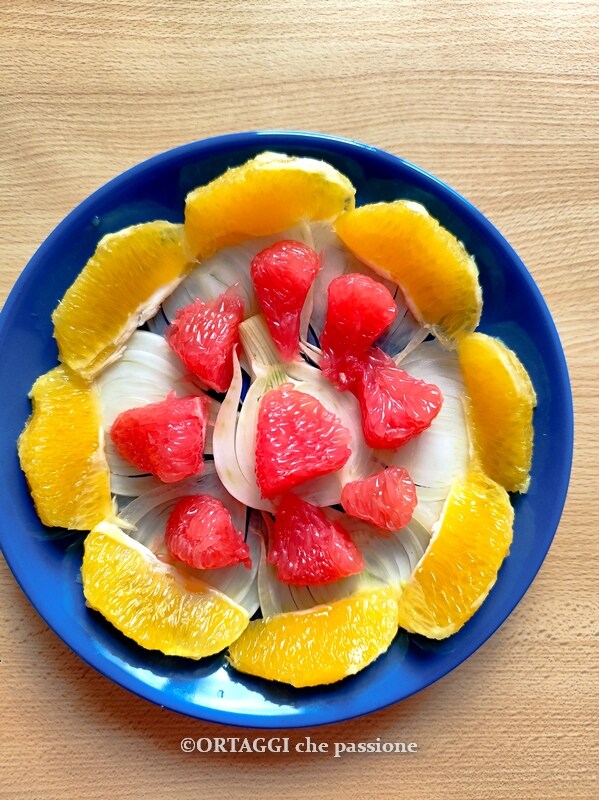 pink grapefruit and orange salad