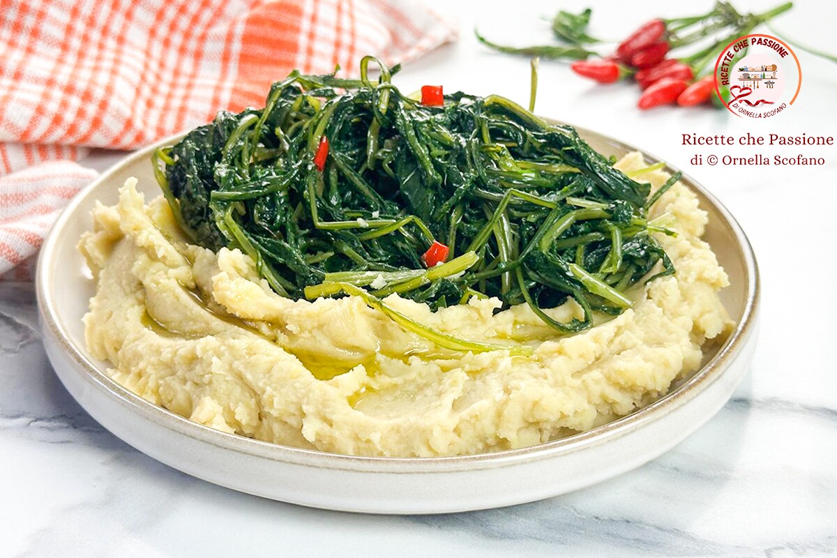 Fava Bean Puree with Wild Chicory