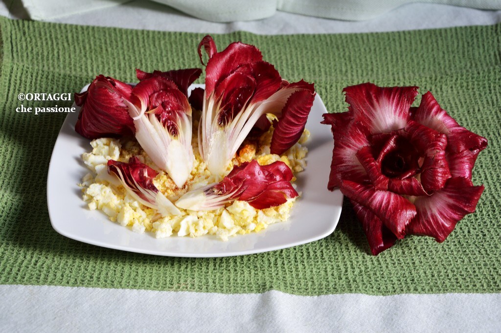 Gorizia Rose and Eggs