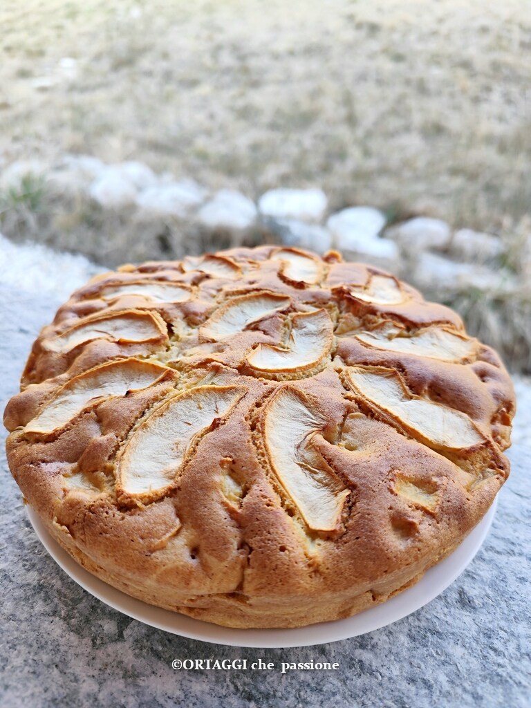 grandma's soft apple cake the best I've ever eaten