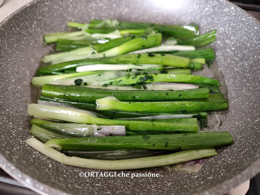 How to Use Green Onion Stalks – Zero Waste
