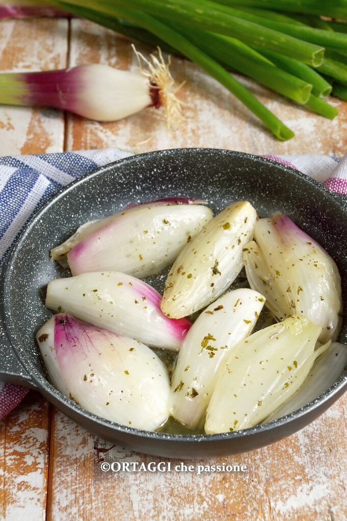 pan-fried red green onions au gratin