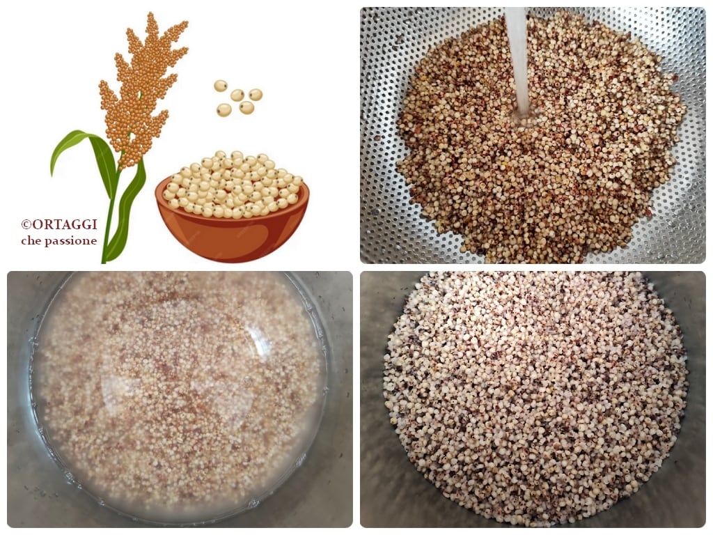 SORGHUM: Easy Cooking and Recipes