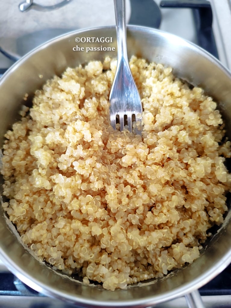 how to cook quinoa in water by absorption