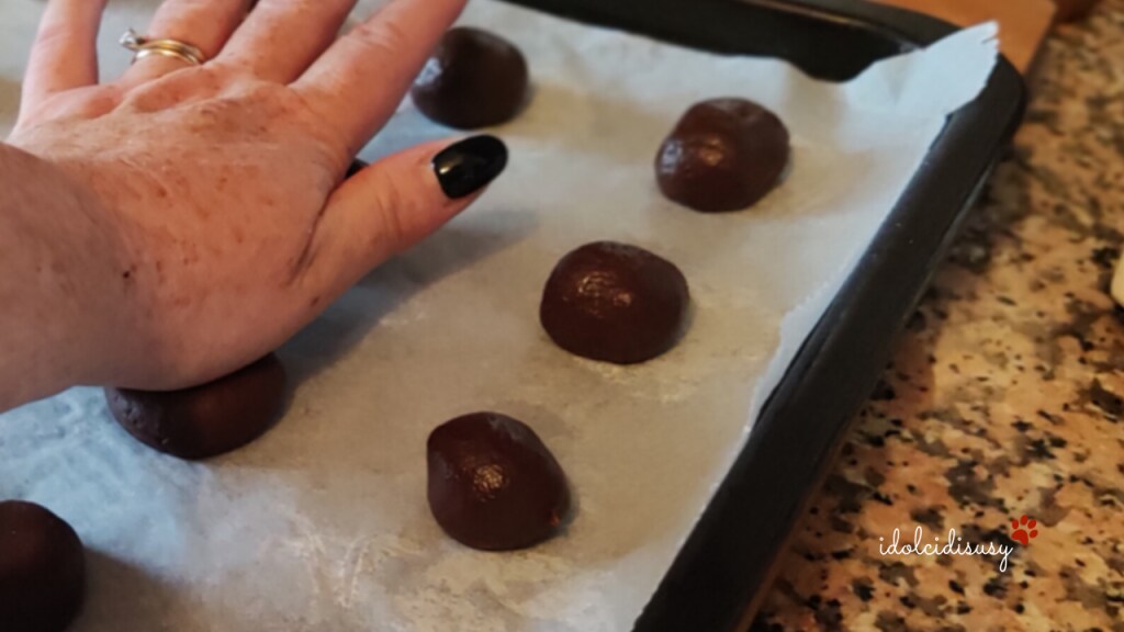 idolcidisusy cocoa biscuits with sourdough
