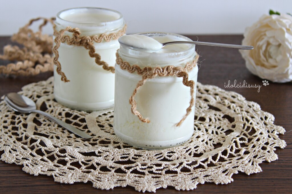 idolcidisusy Homemade Yogurt