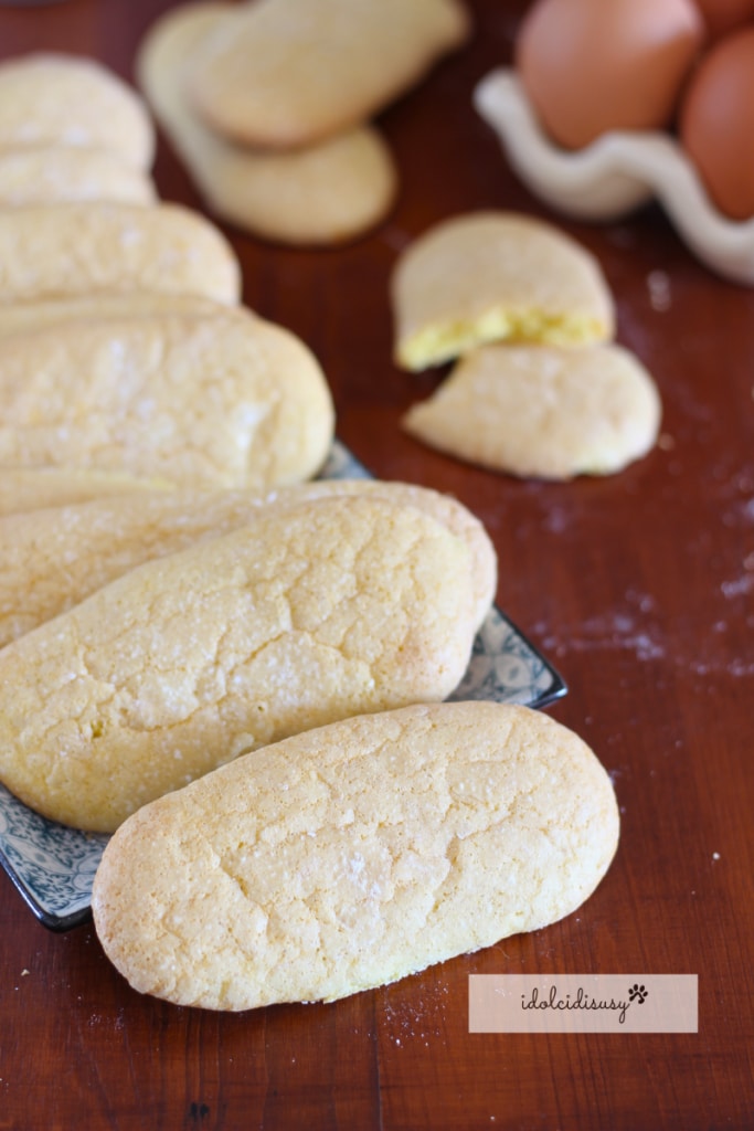 idolcidisusy Homemade Ladyfingers