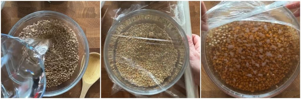 Microwave Lentil Ragù