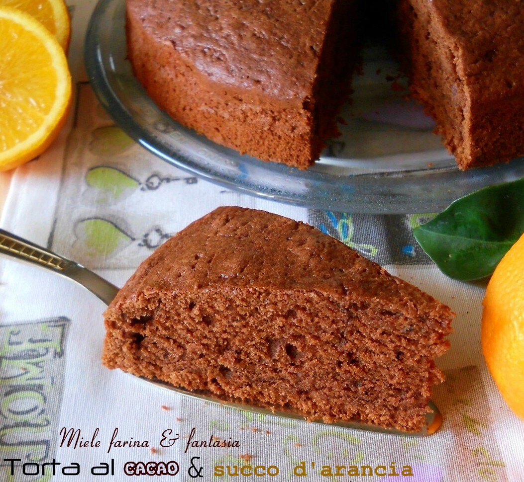 Cocoa and Orange Juice Cake