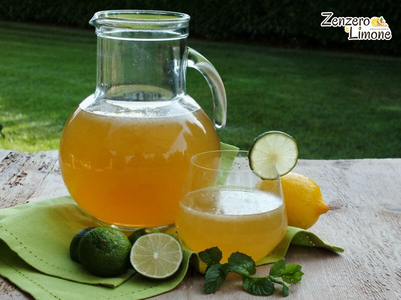 Non-Alcoholic Mojito Lemonade