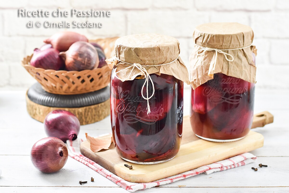 Onions in Vinegar Typical Calabrian Recipe