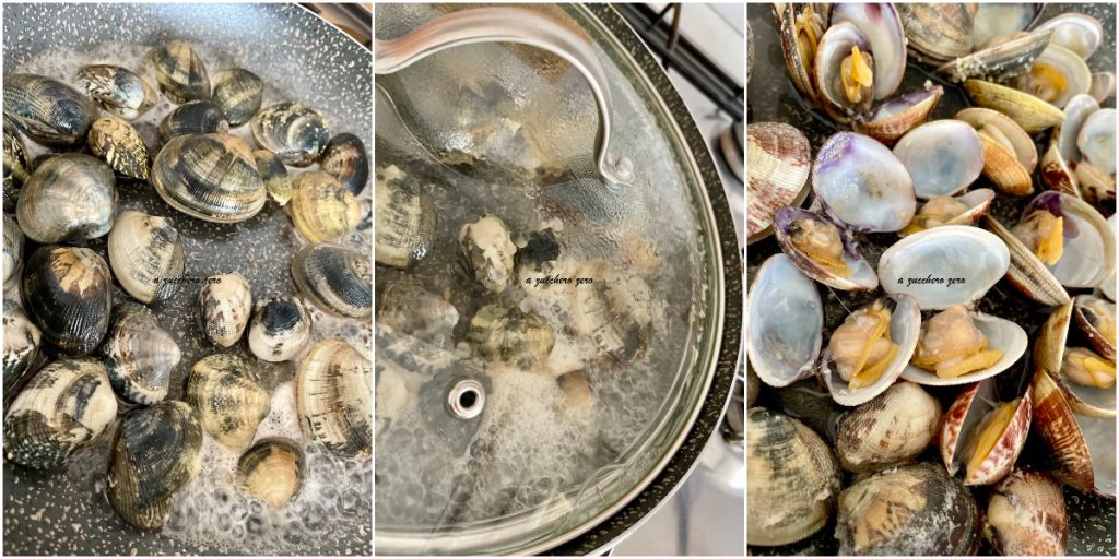 opened clams