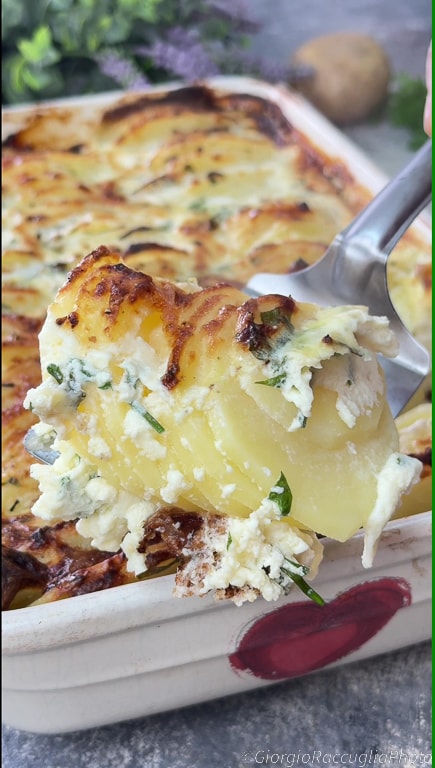 potato mille-feuille