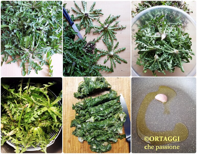 photo preparing and cooking dandelion