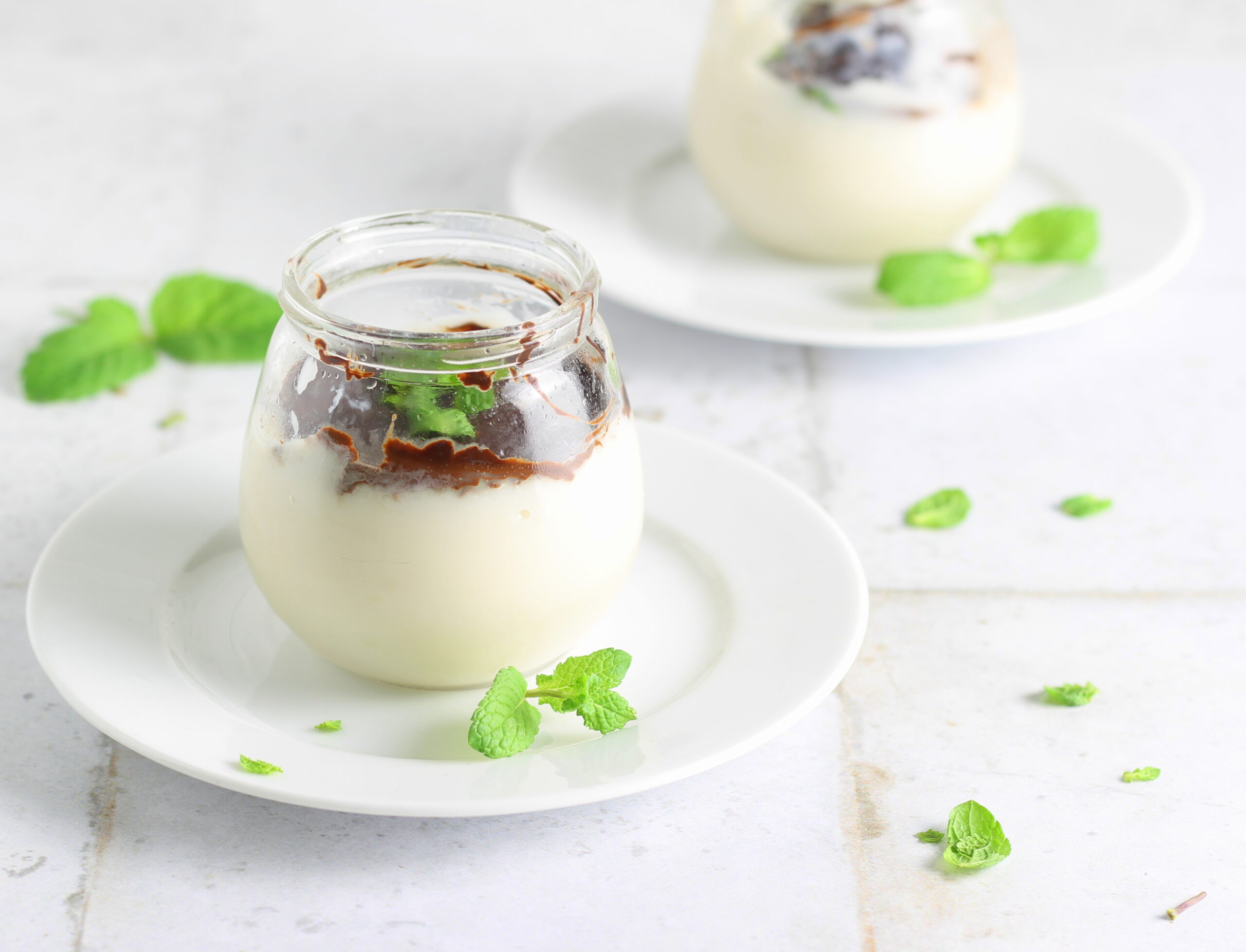 Soy Pudding with Mint and Chocolate
